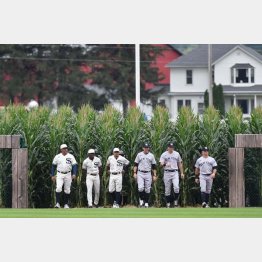 映画同様、トウモロコシ畑から入場するホワイトソックスとヤンキースの選手たち（Ｃ）ロイター／USA TODAY Sports