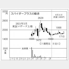 「スパイダープラス」の株価チャート（Ｃ）日刊ゲンダイ