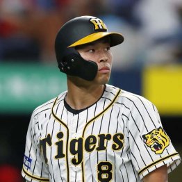 阪神・佐藤輝スランプ深刻でも「代打起用」はかえってマイナス…虎OB投手・福間納氏が指摘