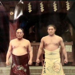 <5>親方の息子は出世しないといわれているのを知らずに力士の道へ