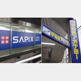 SAPIXと早稲田アカデミー（Ｃ）日刊ゲンダイ