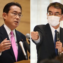 自民党総裁選は1回目投票から「1位・岸田」の票読みまで飛び交い…河野陣営“甘すぎる皮算用”