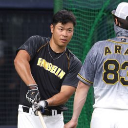 阪神・矢野監督ああ悩ましき…佐藤輝の早期一軍再昇格とベテラン糸井の去就問題