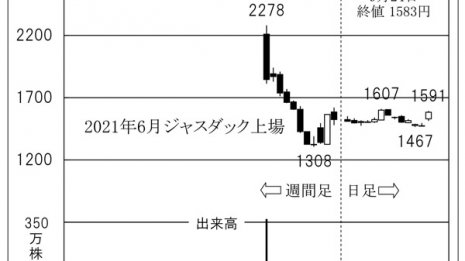 「HCSホールディングス」大企業はDX化促進でシステム投資を増加
