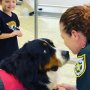 同僚の悲劇に沈む米保安官事務所に"配属"された癒やしのESA犬