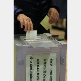 解散から投開票まで17日間（Ｃ）日刊ゲンダイ
