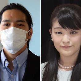 眞子さま結婚を奉祝に転換…TBS系「ゴゴスマ」“手の平返し”に強烈な違和感（成城大学教授・森暢平）