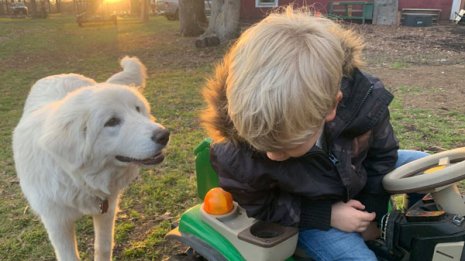 番犬を弓矢で殺害された米国女性が告発 “犯人”の言い分と証言の食い違い