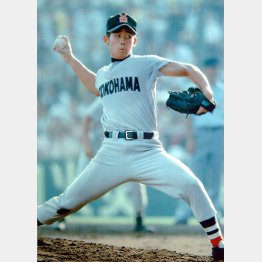 3年春夏連覇の松坂は甲子園に2度出場（Ｃ）日刊ゲンダイ