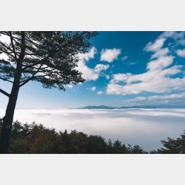 安峰山の絶景（雲海が発生しやすい時期は8～11月）／（提供写真）