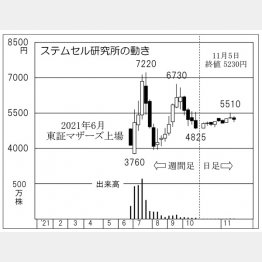 「ステムセル研究所」の株価チャート（Ｃ）日刊ゲンダイ