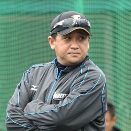 新庄監督を支える林ヘッドは元アマスカウト 日本ハムが名参謀タイプを置かない理由