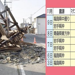 東北でM4以上の揺れ頻発の不気味…「巨大地震」の前兆なのか？ 専門家が分析