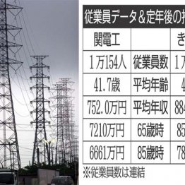 関電工×きんでん 値上がり続く電気料金…総合設備工事の大手を比較