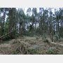 「処分困難の不動産」山林や農地を相続→売却するコツは？