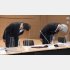 26日の会見で謝罪する坂井みずほFG社長（左）と藤原みずほ銀行頭取（Ｃ）日刊ゲンダイ