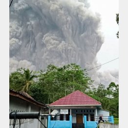 インドネシアの大規模噴火も同じメカニズム（ジャワ島東部で、噴火したスメル山から出る大規模な噴煙＝4日、インドネシア国家災害対策庁提供・共同）