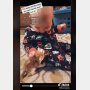 米国の赤ん坊と子猫の“仲良し動画”にほっこり…世界中の心を溶かしたと話題に