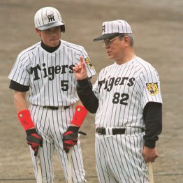 新庄は野村監督やヒルマン監督の“ええとこどり”の野球をすると思います