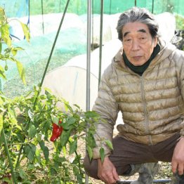 民間人初の宇宙飛行士・秋山豊寛さん 原発事故の難を逃れ2度目の「仙人暮らし」