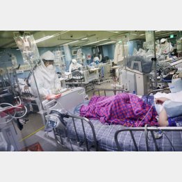 韓国ではデルタ株が猛威を振るい、病床は逼迫（韓国・ピョンテク市の救急病院で、感染者の集中治療を行う医療従事者たち）／（Ｃ）ロイター