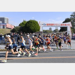 福岡国際マラソンは2021年今年で幕（代表撮影）