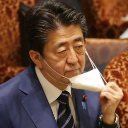 岸田首相「アベノマスクで流通回復」も真っ赤な嘘！ 総事業費486億円超のデタラメ