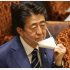 アベノマスクの愚策は底なし（Ｃ）日刊ゲンダイ