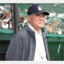 野球評論家の張本勲氏（Ｃ）日刊ゲンダイ