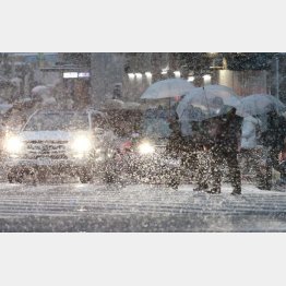 大雪の後は…（6日、降雪に見舞われる渋谷駅前スクランブル交差点を行き交う人々）／（Ｃ）日刊ゲンダイ