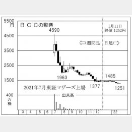 「BCC」の株価チャート（Ｃ）日刊ゲンダイ