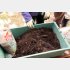 油かすと米ぬかを撹拌して残渣に混ぜ、発酵させて堆肥を作る（提供写真）