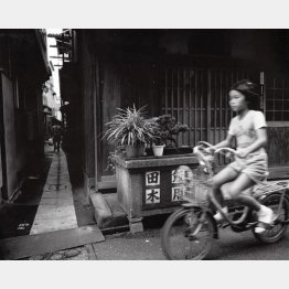 佃島の裏通り（1984年撮影）／「東京慕情」（1999年刊）より（提供写真）