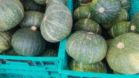 トンガ火山噴火で南半球の食材に影響 かぼちゃ、マグロ、親子丼は超高級メニューになる？