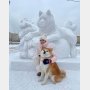 ザギトワの愛犬マサルが雪像に！相変わらずラブラブ～