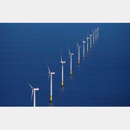 日本は、洋上風力発電は「宝の山」（写真はデンマークの洋上風力発電施設）／（Ｃ）ロイター＝共同