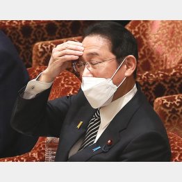 岸田首相（Ｃ）日刊ゲンダイ