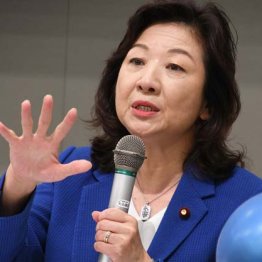 ツイッターに溢れる#野田聖子ブロック祭り 少子化担当相の無慈悲に国民怒り、明石市長もモノ申す