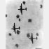 来襲した米軍のB29爆撃機に浴びせられた高射砲の弾幕（Ｃ）共同通信社