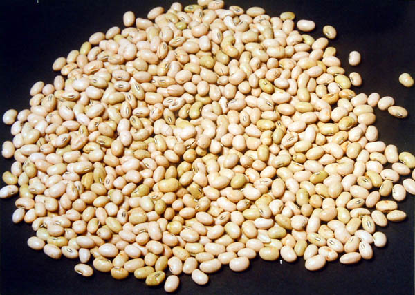 大豆は年初から20％高（Ｃ）日刊ゲンダイ