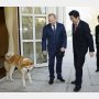 ゼレンスキー大統領「プーチンには噛みつかない」発言で安倍元首相が注目されるナゼ？