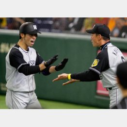本塁打を放った江越（左）を迎える金本監督（Ｃ）日刊ゲンダイ