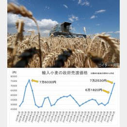 輸入小麦の政府売渡価格（Ｃ）日刊ゲンダイ