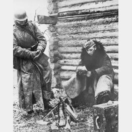 1941年、ロシアの前線で木を燃やし暖をとるドイツ軍（Ｃ）Underwood Archives／Universal Images Group／共同通信イメージズ