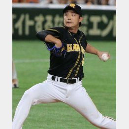 2019年に63試合に登板し、ブレークした育成出身の阪神・島本（Ｃ）日刊ゲンダイ