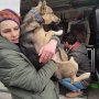決死の覚悟で飼い犬を国外退避させるウクライナ非営利団体に世界中が注目