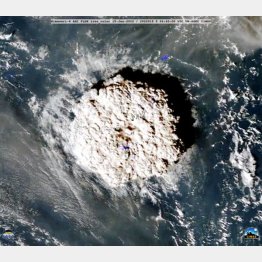 ハンガ・トンガ・ハンガ・ハアパイが噴火した後、火山灰がトンガ上空に上昇した（Ｃ）ロイター／NOAA／SSEC／CIMSS