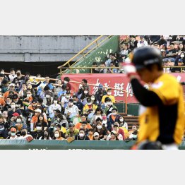盛況を取り戻した台湾プロ野球もかつては深い闇が…（Ｃ）ゲッティ＝共同