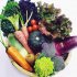「ふくろうファーム」で収穫された野菜（提供写真）