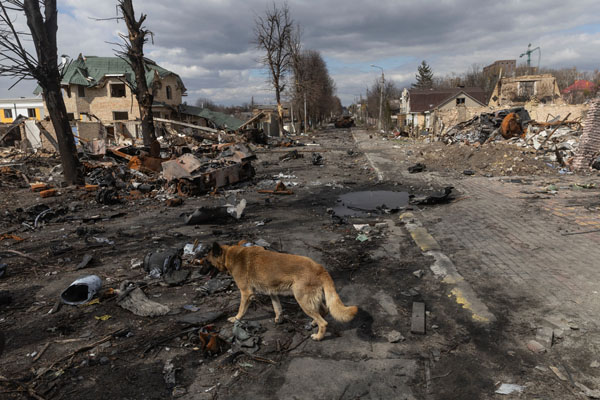 壊滅しつくされたブチャの町の通りには犬の姿も…（Ｃ）ロイター